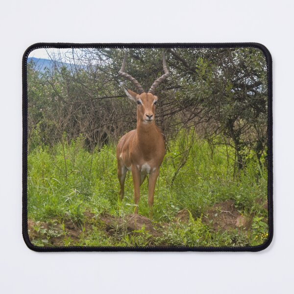 Item preview, African Wildlife Safari Scene – Majestic Nature Photography Wall Art designed and sold by jacoalberts.