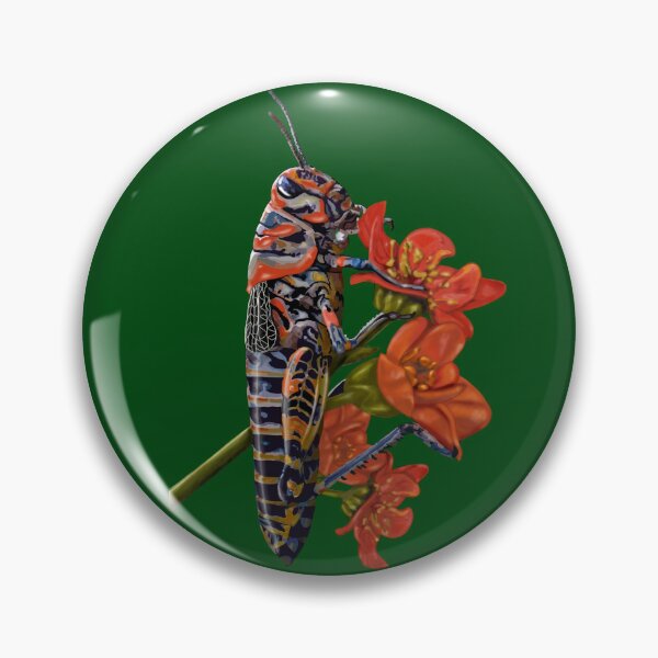 Item preview, Wildlife: Colourful Grasshopper no background designed and sold by Waubamik Perry.