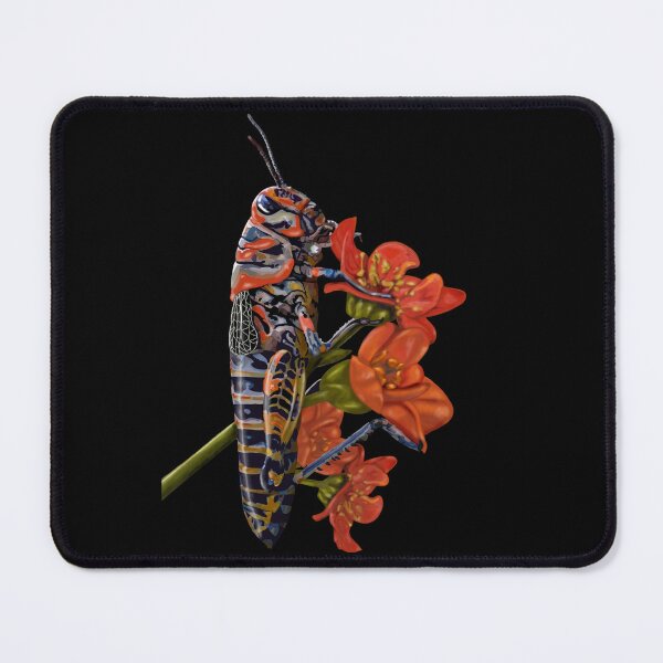 Item preview, Wildlife: Colourful Grasshopper no background designed and sold by Waubamik Perry.