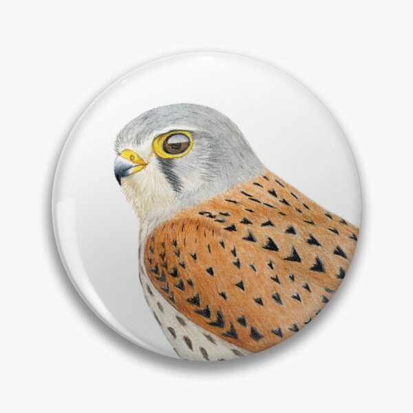 Item preview, Common Kestrel designed and sold by Holly Grogan Art.