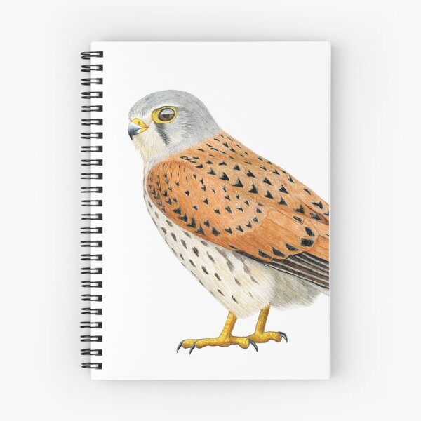 Item preview, Common Kestrel designed and sold by Holly Grogan Art.