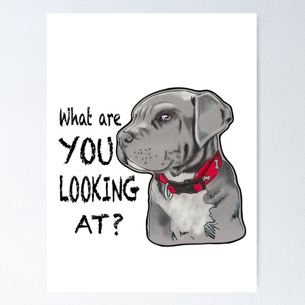 Item preview, What Are You Looking At? designed and sold by CiniDee Designs.