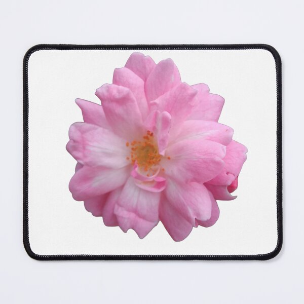 Item preview, Pink flower with orange stamens designed and sold by Zoé ❤.