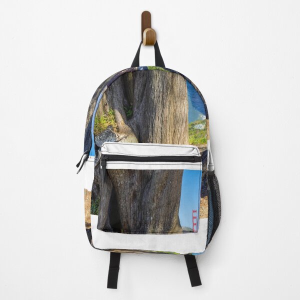 Item preview, Golden Gate threw the Cypress Trees designed and sold by Gerard Fornarotto.