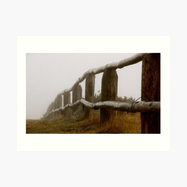 Fencing Away Art Print