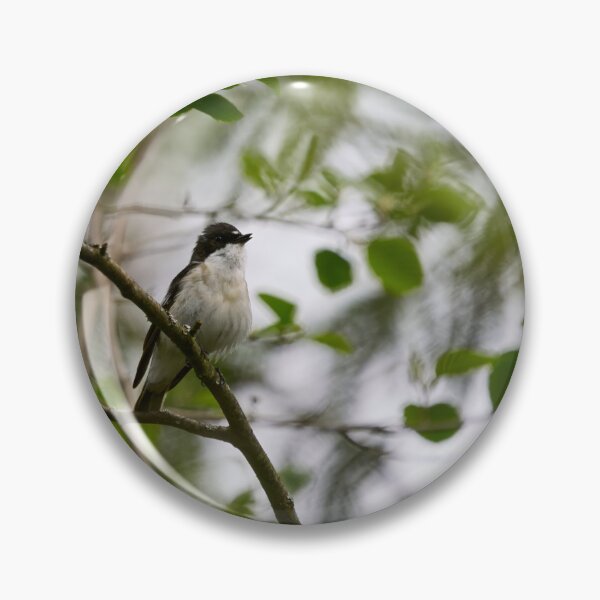 Item preview, In the wind. European pied flycatcher designed and sold by Jouko Lehto Photography.