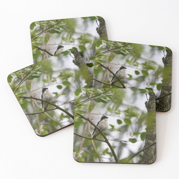 Item preview, In the wind. European pied flycatcher designed and sold by Jouko Lehto Photography.