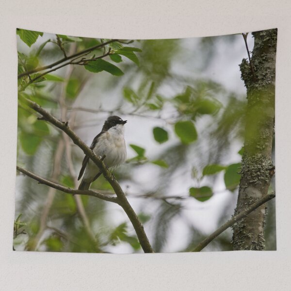 Item preview, In the wind. European pied flycatcher designed and sold by Jouko Lehto Photography.