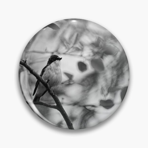 Item preview, In the wind. European pied flycatcher bw designed and sold by Jouko Lehto Photography.
