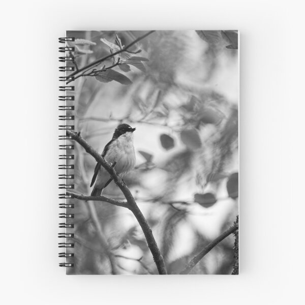 Item preview, In the wind. European pied flycatcher bw designed and sold by Jouko Lehto Photography.