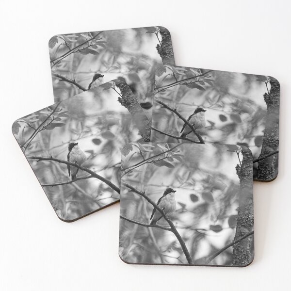 Item preview, In the wind. European pied flycatcher bw designed and sold by Jouko Lehto Photography.