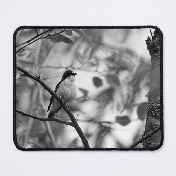 Item preview, In the wind. European pied flycatcher bw designed and sold by Jouko Lehto Photography.
