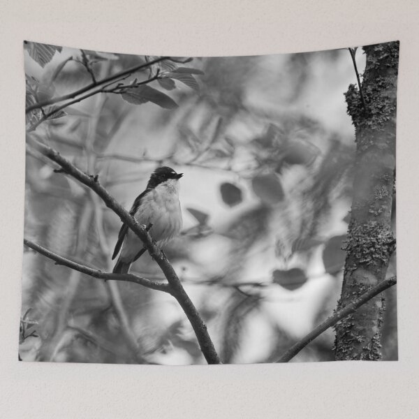 Item preview, In the wind. European pied flycatcher bw designed and sold by Jouko Lehto Photography.
