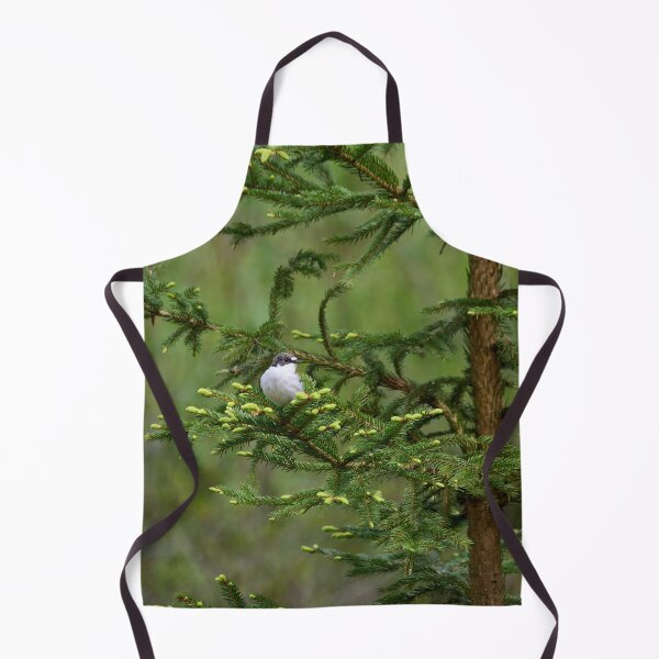 Item preview, Sprucecheck. European pied flycatcher designed and sold by Jouko Lehto Photography.