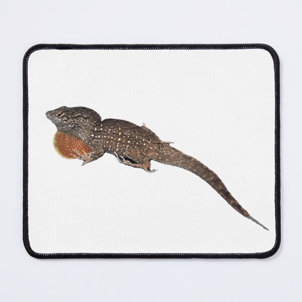 Item preview, Florida Lizard Vibes | Tropical Reptile Wildlife Design designed and sold by TheMysticNook.