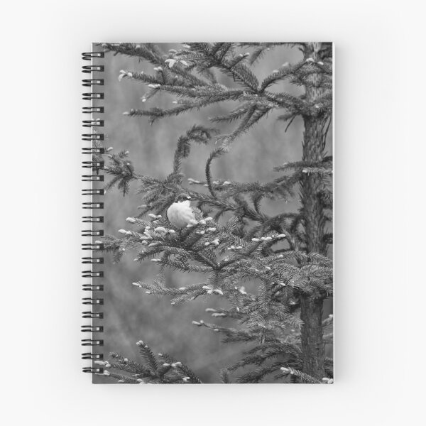 Item preview, Sprucecheck. European pied flycatcher bw designed and sold by Jouko Lehto Photography.