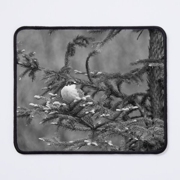 Item preview, Sprucecheck. European pied flycatcher bw designed and sold by Jouko Lehto Photography.
