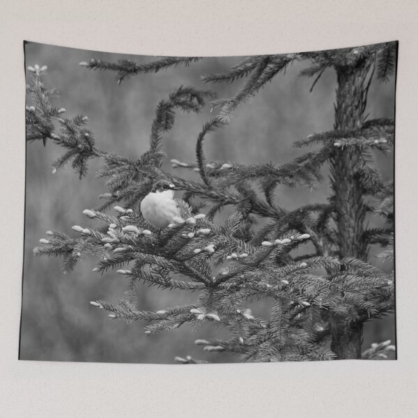 Item preview, Sprucecheck. European pied flycatcher bw designed and sold by Jouko Lehto Photography.