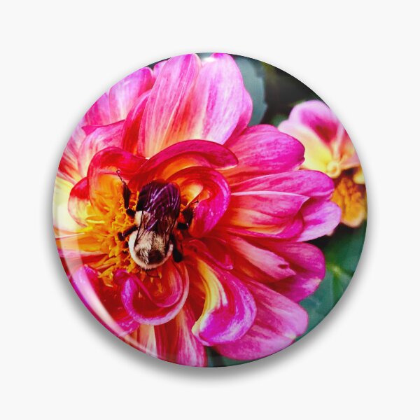 Item preview, Bumble Bee on Pink Dahlia designed and sold by Moleshavesouls.