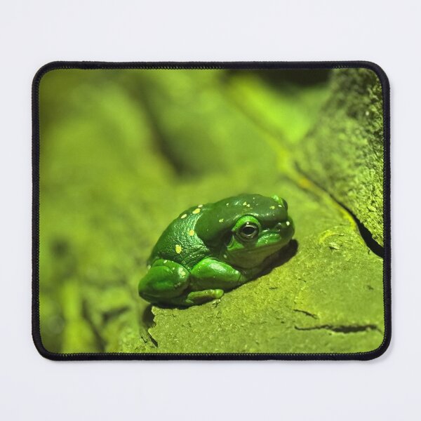 Item preview, Very Green Frog designed and sold by Moss Goblin Art and Photography .