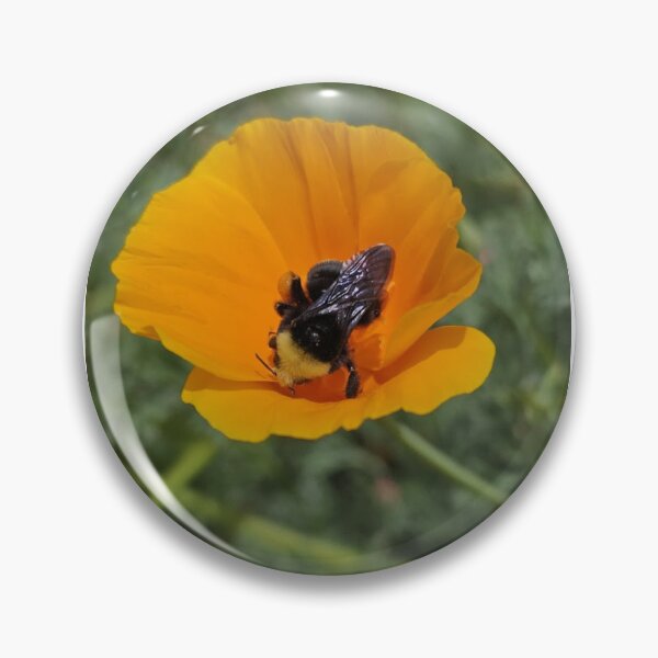 Item preview, Bumble Bee & Poppy in Spring designed and sold by Linklandiya.