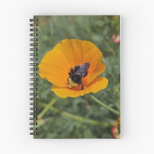 Item preview, Bumble Bee & Poppy in Spring designed and sold by Linklandiya.