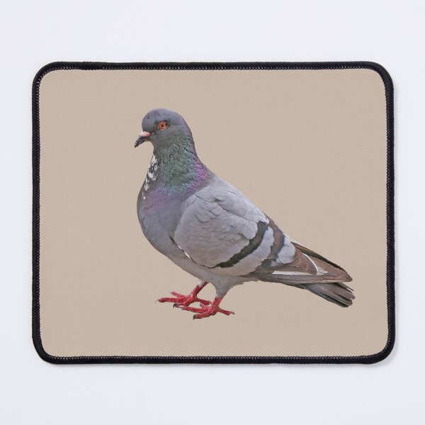 Item preview, Pigeon designed and sold by STHogan2.