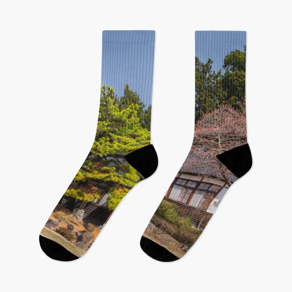 Item preview, Restored School Building from 1924 in Rural Japan Repurposed as Community Center designed and sold by Pix4Japan.