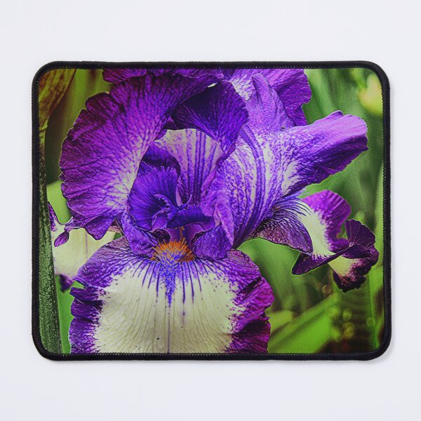 Item preview, My Purple Bearded designed and sold by Larry Davis.