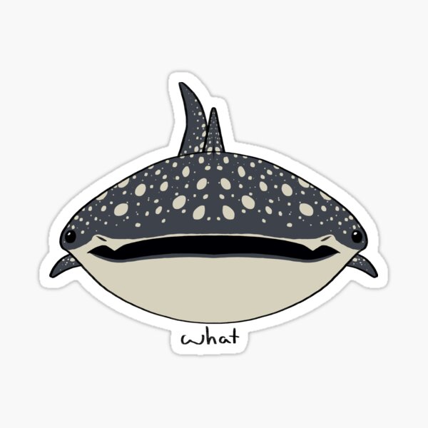 Item preview, What Whale Shark designed and sold by rowanmakesart.