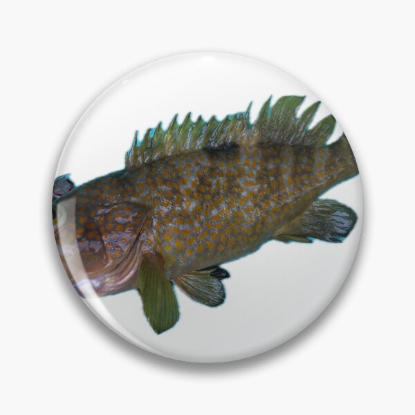 Item preview, 006 Kijihata – The red-spotted coastal king designed and sold by taichi69nz.