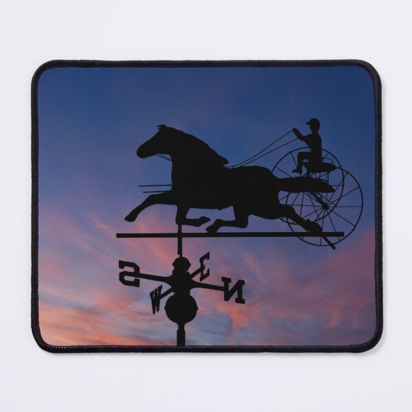 Item preview, Faster than the wind. designed and sold by Alex Preiss.