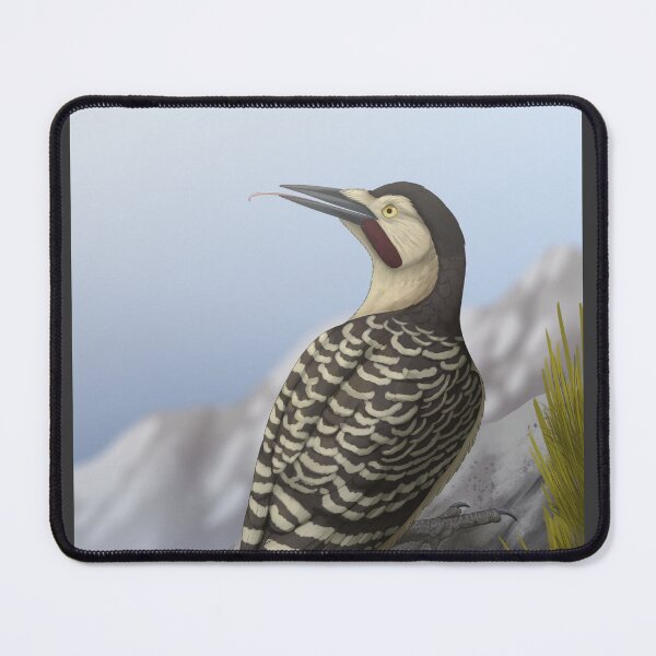 Item preview, Andean flicker designed and sold by DragonArtist15.