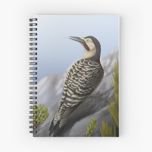 Item preview, Andean flicker designed and sold by DragonArtist15.