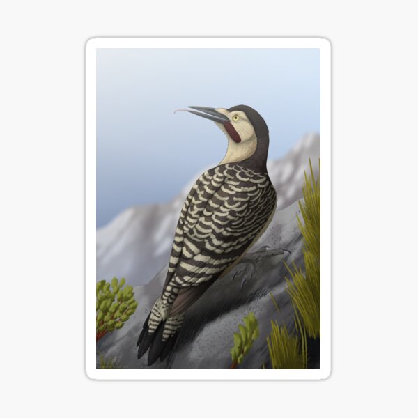 Item preview, Andean flicker designed and sold by DragonArtist15.