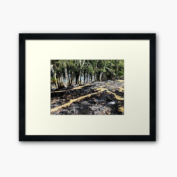 Item preview, 2019/2020 Australian Black Summer Bushfires  designed and sold by Gene Fisher.