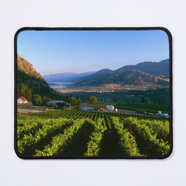 Item preview, Okanagan Falls Winery Vineyard Sunrise Okanagan Valley designed and sold by Kevin Miller Photography.