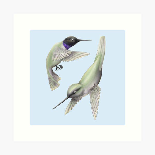 Item preview, Black-chinned hummingbird designed and sold by SadieLouHays.