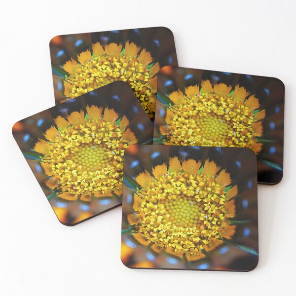 Item preview, Gazania Dancing ( 3 ) designed and sold by Larry Davis.