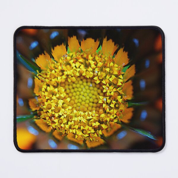 Item preview, Gazania Dancing ( 3 ) designed and sold by Larry Davis.