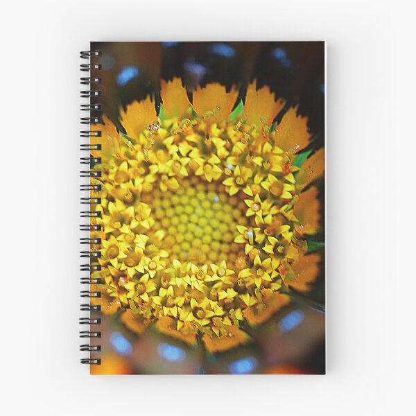 Item preview, Gazania Dancing ( 3 ) designed and sold by Larry Davis.