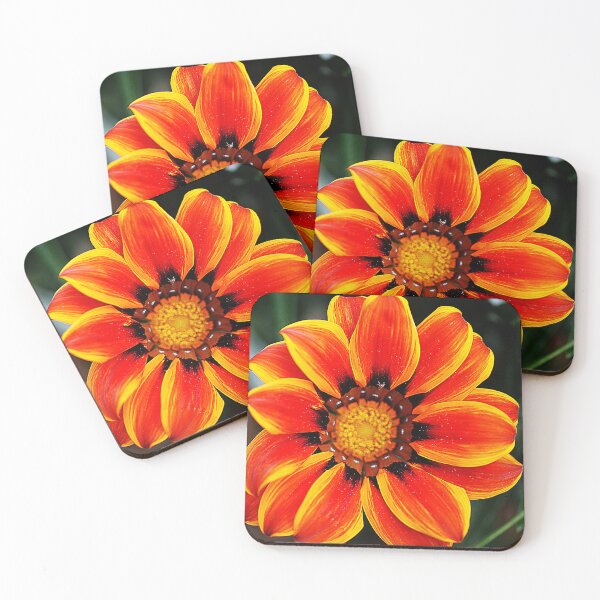 Item preview, Gazania Dancing ( 1 ) designed and sold by Larry Davis.
