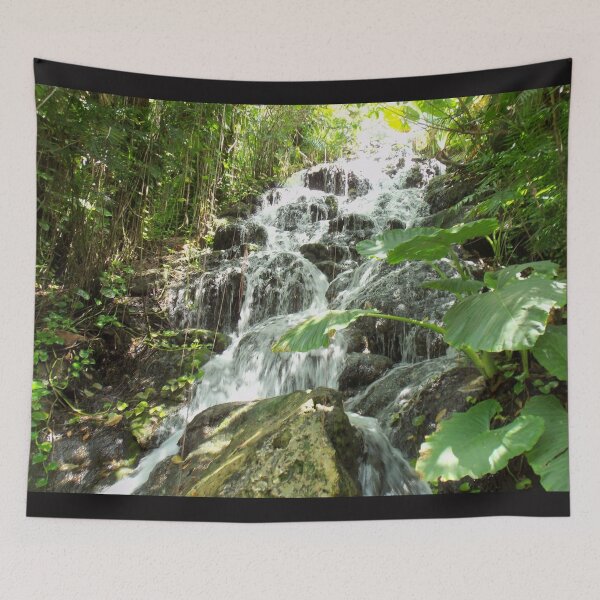 Item preview, waterfall designed and sold by Rekindled Nature Photography.