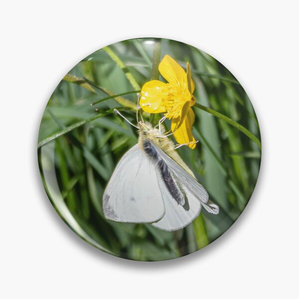 Item preview, A butterfly designed and sold by Wolf22floW.