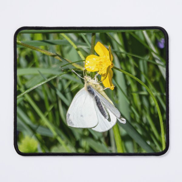 Item preview, A butterfly designed and sold by Wolf22floW.