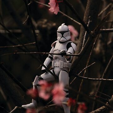 Artwork thumbnail, Among the Blossoms by AusWestCreation