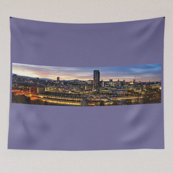 Item preview, Sheffield City Panorama designed and sold by Alisonchambers2.