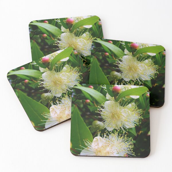 Item preview, Myrtus communis (Myrtle) designed and sold by lezvee.