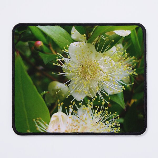 Item preview, Myrtus communis (Myrtle) designed and sold by lezvee.