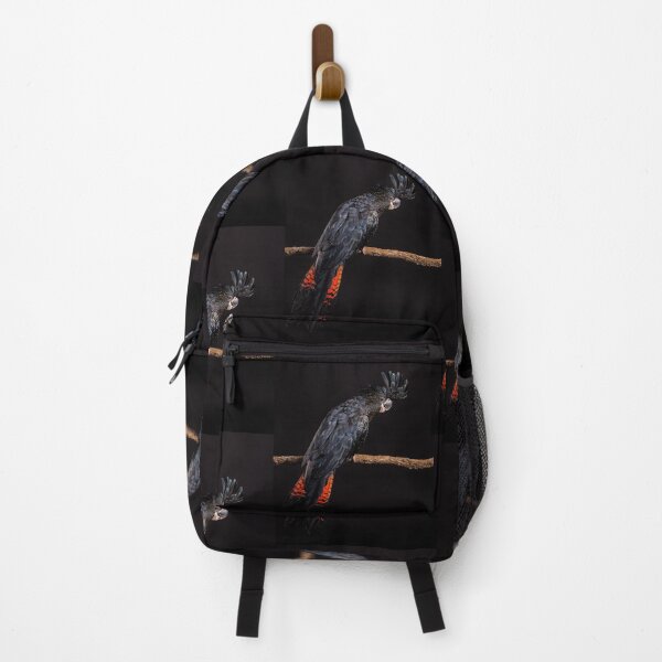 Item preview, Red-tailed Black Cockatoo Studio Portrait #5 designed and sold by Images by Chris de Blank.